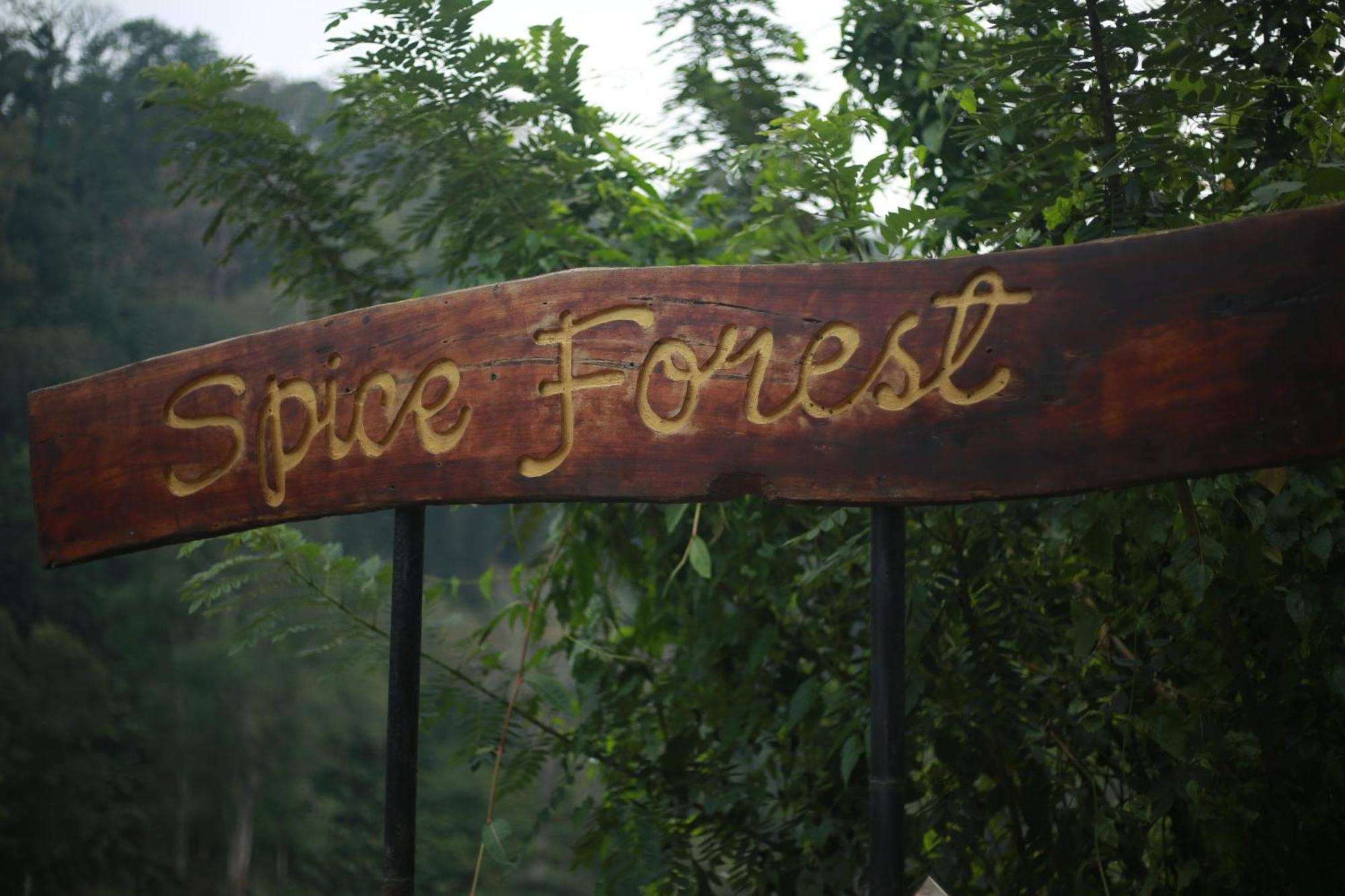 Spice Forest Plantation Homestay, Thekkady Vandiperiyār Exterior foto